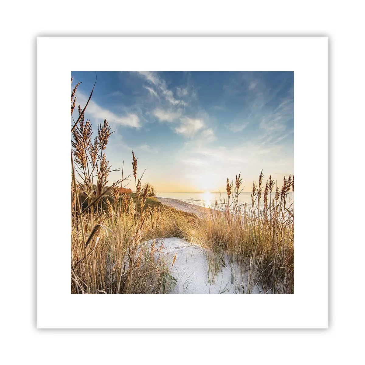 Póster - Playa del norte - 30x30 cm