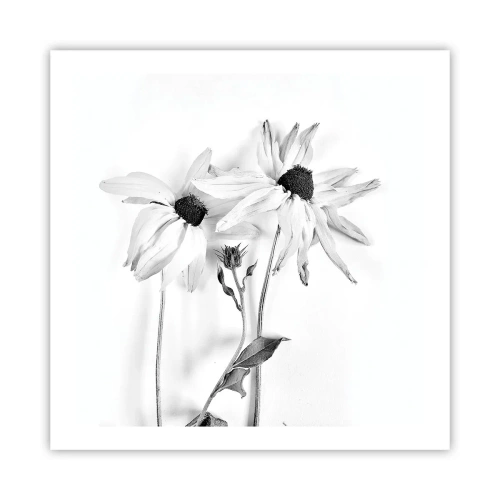 Póster - Nadie quiere estar solo - 60x60 cm