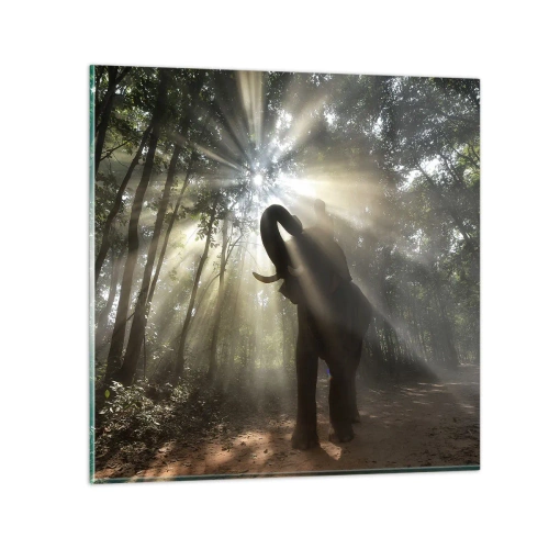 Cuadro sobre vidrio - Impresiones sobre Vidrio - Bajo una estrella de la suerte - 70x70 cm