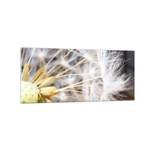 Cuadro sobre vidrio - Impresiones sobre Vidrio - Fotografía macro de un diente de león con semillas delicadas. - 120x50cm - Justo antes de volar - Decoración de pared moderna para salón y dormitorio ARTTOR
