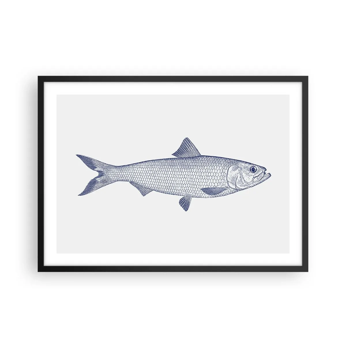 Póster en marco negro - Ilustración de un pez en tonos azules sobre un fondo claro. - 70x50cm - Saludos desde los mares del norte - Decoración de pared moderna para salón y dormitorio ARTTOR