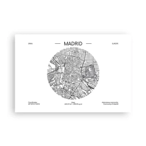 Póster - Anatomía de Madrid - 91x61 cm