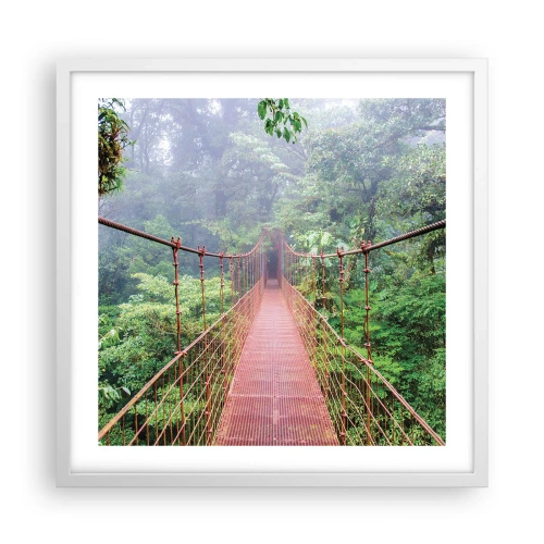 Póster en marco blanco - Suspendido sobre las copas - 50x50 cm