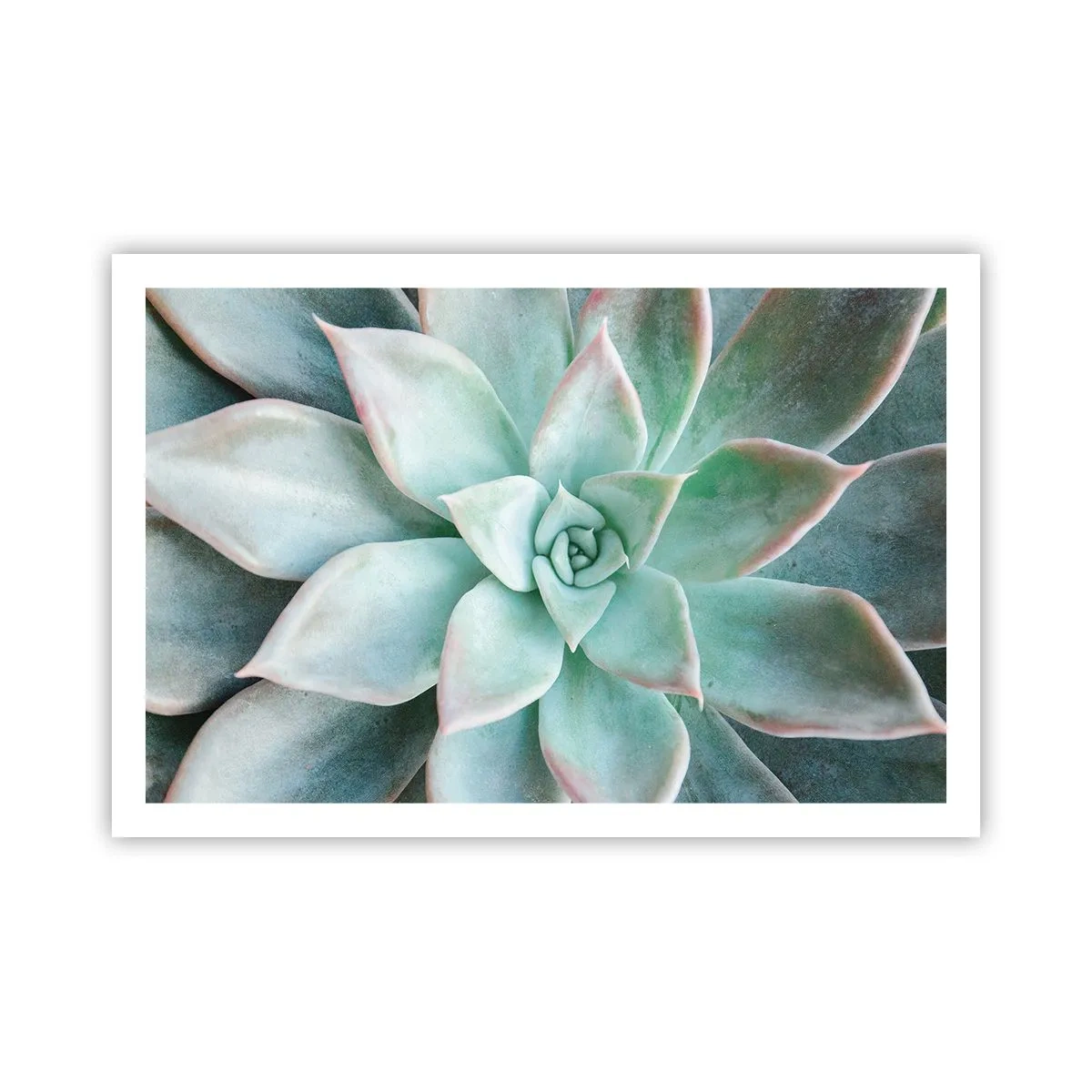 Póster - El corazón del desierto - 91x61 cm