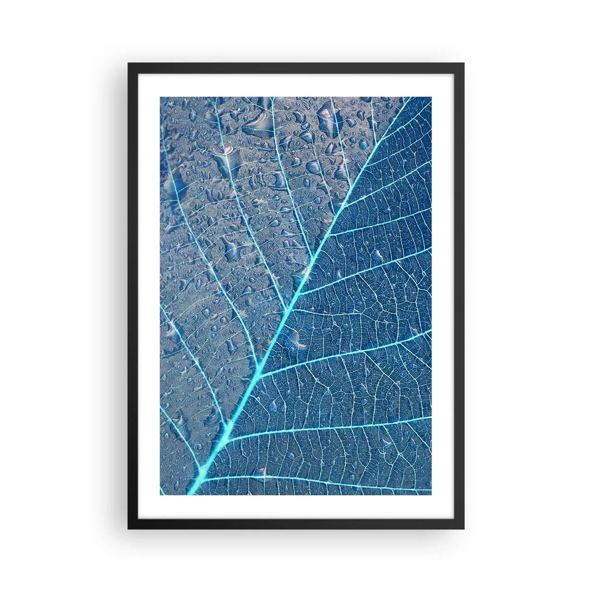 Póster en marco negro - Primer plano de una hoja en tonos azules. - 50x70cm - Vida en el azul - Decoración de pared moderna para salón y dormitorio ARTTOR