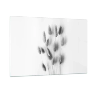Cuadro sobre vidrio - Impresiones sobre Vidrio - Espigas de hierba en blanco y negro sobre un fondo claro en un estilo minimalista. - 120x80cm - Esponjas naturales - Decoración de pared moderna para salón y dormitorio ARTTOR