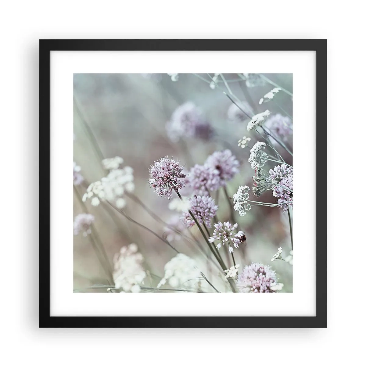 Póster en marco negro - Dulces filigranas de hierbas - 40x40 cm