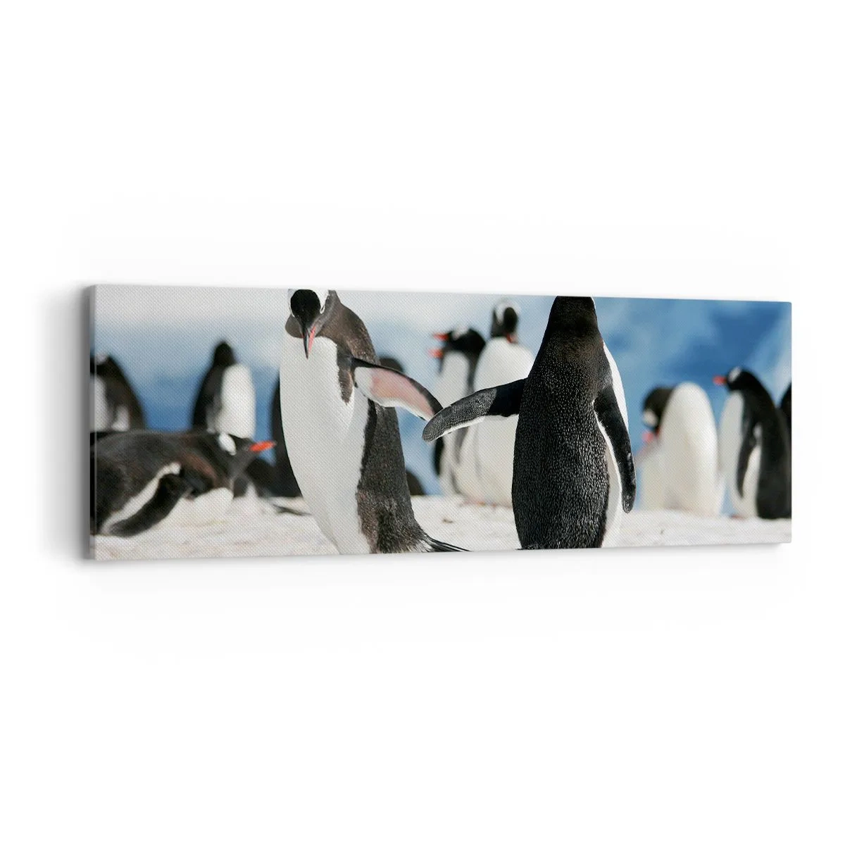 Cuadro sobre lienzo - Impresión de Imagen - Bailando en la nieve - 90x30 cm