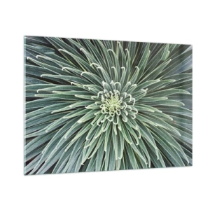 Cuadro sobre vidrio - Impresiones sobre Vidrio - Roseta simétrica de hojas verdes en fotografía macro - 100x70cm - El nacimiento de una estrella - Decoración de pared moderna para salón y dormitorio ARTTOR