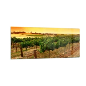 Cuadro sobre vidrio - Impresiones sobre Vidrio - Un trago del sol - 100x40 cm