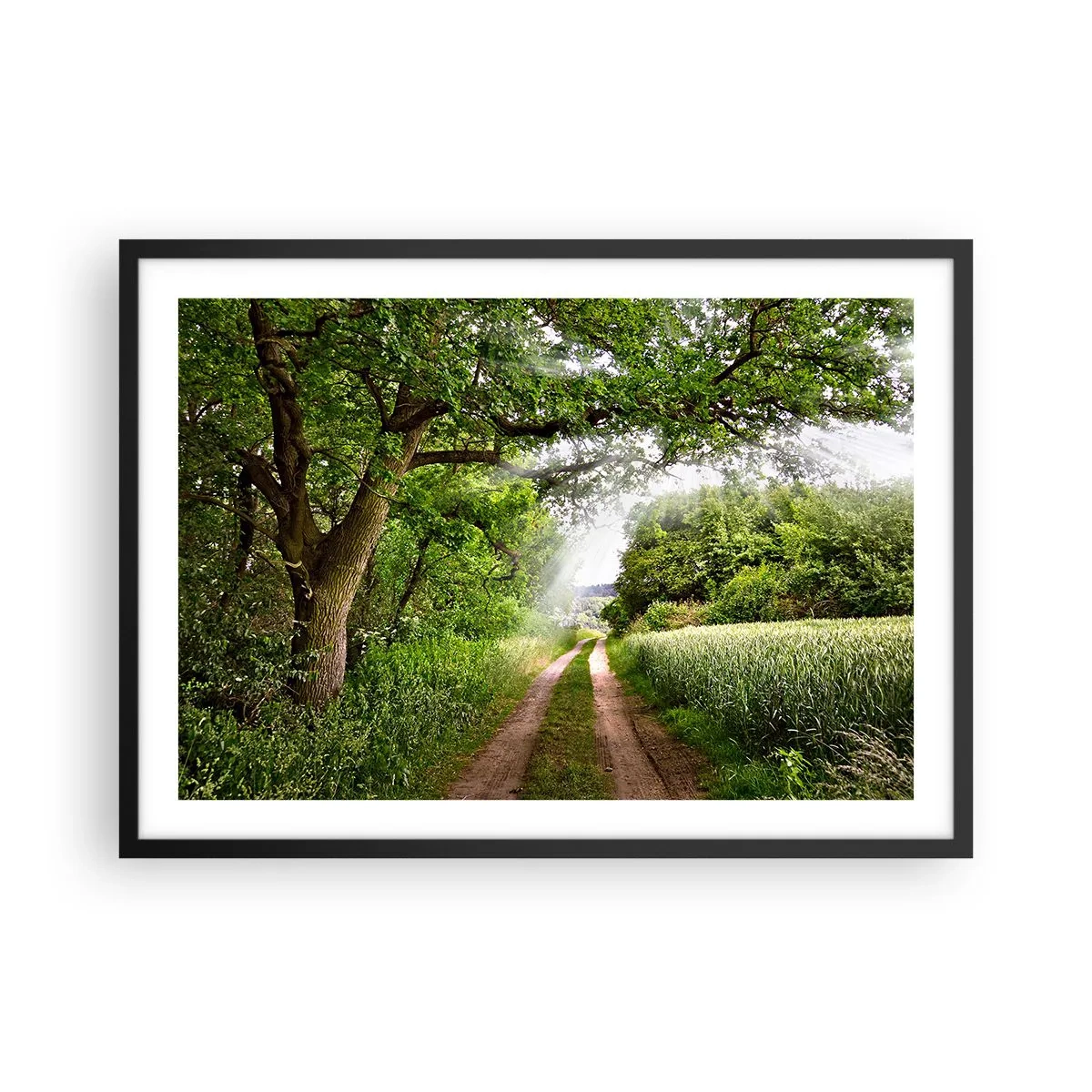 Póster en marco negro - Un camino de tierra entre árboles verdes y luz solar. - 70x50cm - Ensueño - Decoración de pared moderna para salón y dormitorio ARTTOR