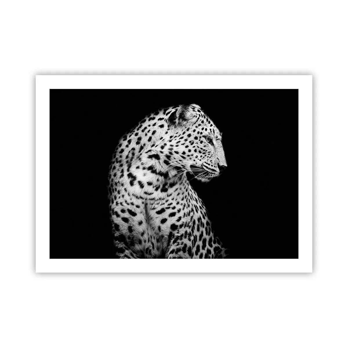 Póster - El perfil derecho es perfecto - 70x50 cm