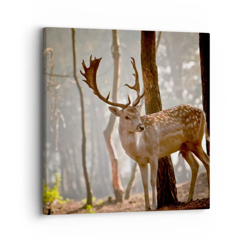 Cuadro sobre lienzo - Impresión de Imagen - La luz de la juventud - 30x30 cm