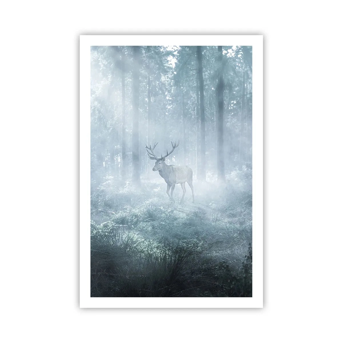 Póster - Ronda matutina por la finca - 61x91 cm