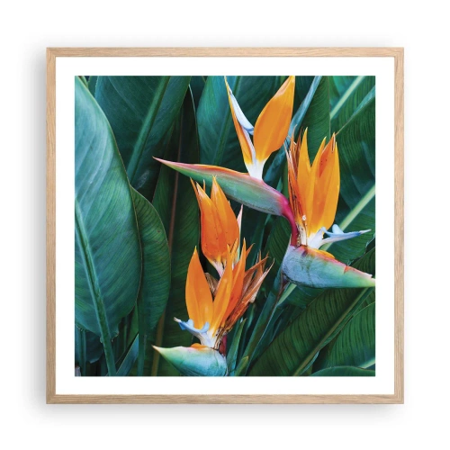 Póster en marco roble claro - ¿Es una flor o es un pájaro? - 60x60 cm