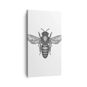 Cuadro sobre lienzo - Impresión de Imagen - Retrato de insecto - 45x80 cm
