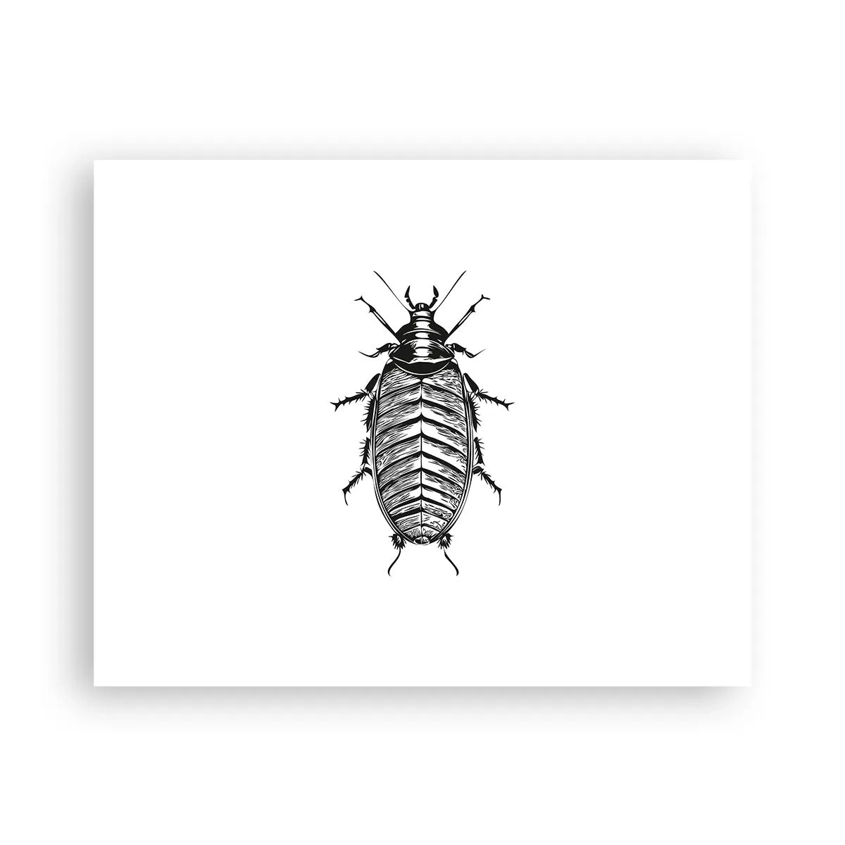 Póster - ¡Qué espécimen! - 50x40 cm