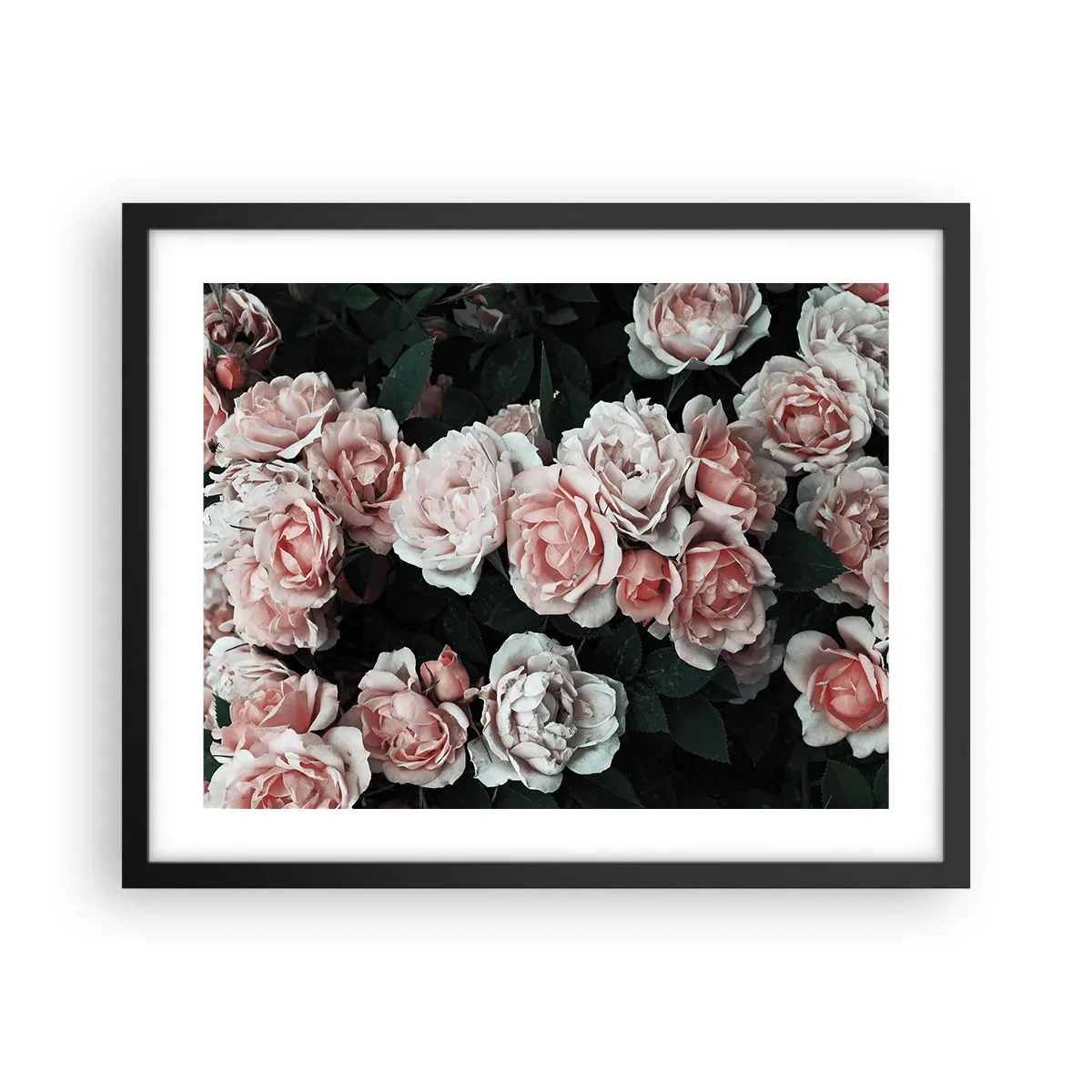 Póster en marco negro - Conjunto de rosas - 50x40 cm