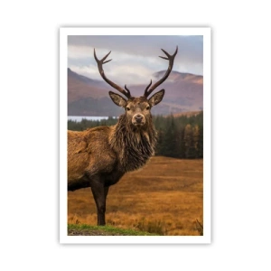 Póster - La majestuosidad de la naturaleza - 70x100 cm