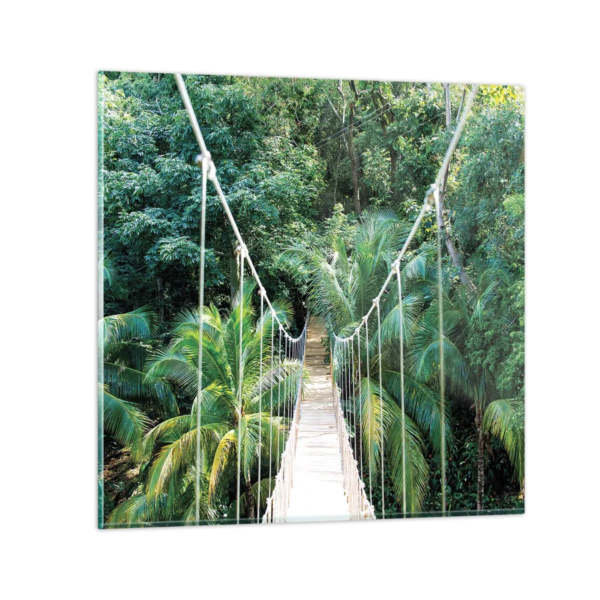 Cuadro sobre vidrio - Impresiones sobre Vidrio - ¡Bienvenido a la selva! - 30x30 cm