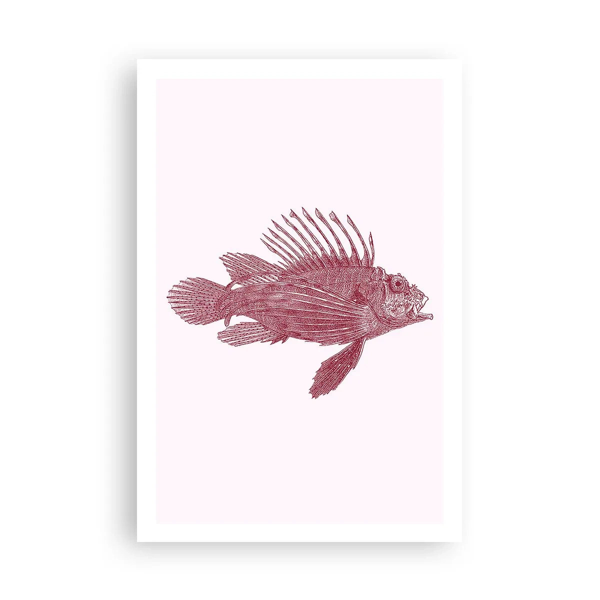 Póster - Un habitante de aguas exóticas - 61x91 cm