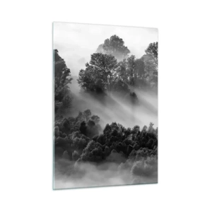 Cuadro sobre vidrio - Impresiones sobre Vidrio - Bosque brumoso a la luz del sol en blanco y negro - 50x70cm - Levantarse del sueño - Decoración de pared moderna para salón y dormitorio ARTTOR