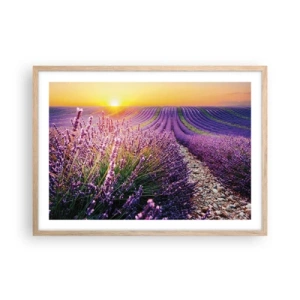 Póster en marco roble claro - Pradera fragante - 70x50 cm