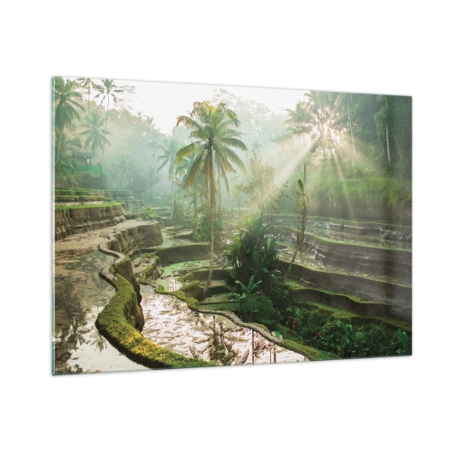 Cuadro sobre vidrio - Impresiones sobre Vidrio - Arrozales tropicales con palmeras en la niebla de la mañana - 100x70cm - Crecer bajo el sol - Decoración de pared moderna para salón y dormitorio ARTTOR