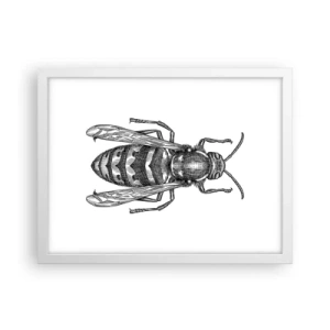 Póster en marco blanco - Desde un planeta de insectos - 40x30 cm