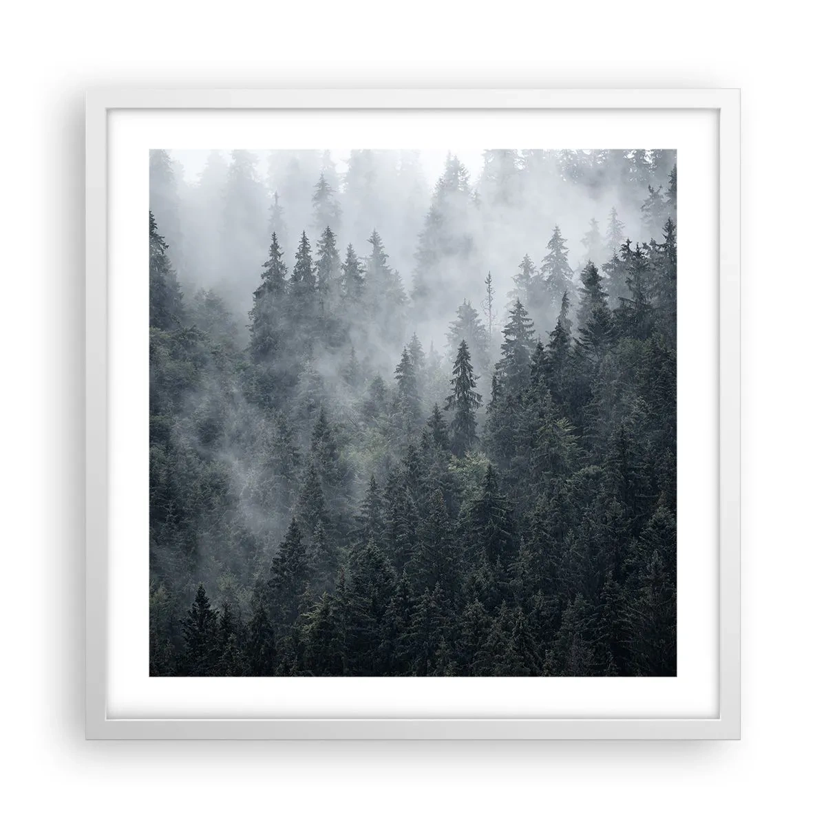 Póster en marco blanco - Amanecer en el bosque - 50x50 cm