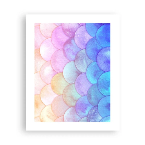 Póster - Concha de perla - 40x50 cm
