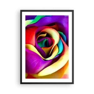 Póster en marco negro - Un primer plano de una rosa colorida con pétalos de arcoíris. - 50x70cm - Es imposible - Decoración de pared moderna para salón y dormitorio ARTTOR