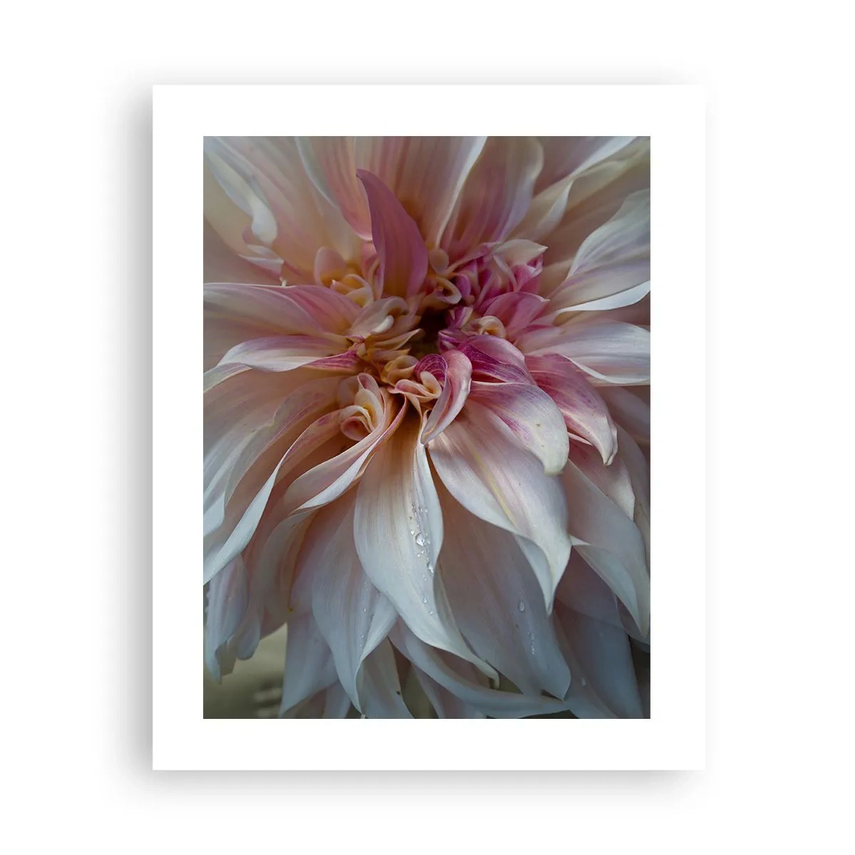 Póster - Frescura floreciente - 40x50 cm