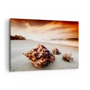Cuadro sobre lienzo - Impresión de Imagen - Conchas en la playa al atardecer - 120x80cm - Los exiliados de las olas - Decoración de pared moderna para salón y dormitorio ARTTOR