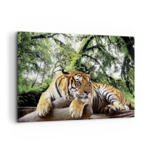 Cuadro sobre lienzo - Impresión de Imagen - Un tigre descansando en un bosque tropical. - 120x80cm - Atentamente - Decoración de pared moderna para salón y dormitorio ARTTOR