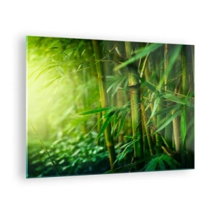 Cuadro sobre vidrio - Impresiones sobre Vidrio - Bosque de bambú verde bajo el sol - 70x50cm - Conocer el propio verdor - Decoración de pared moderna para salón y dormitorio ARTTOR