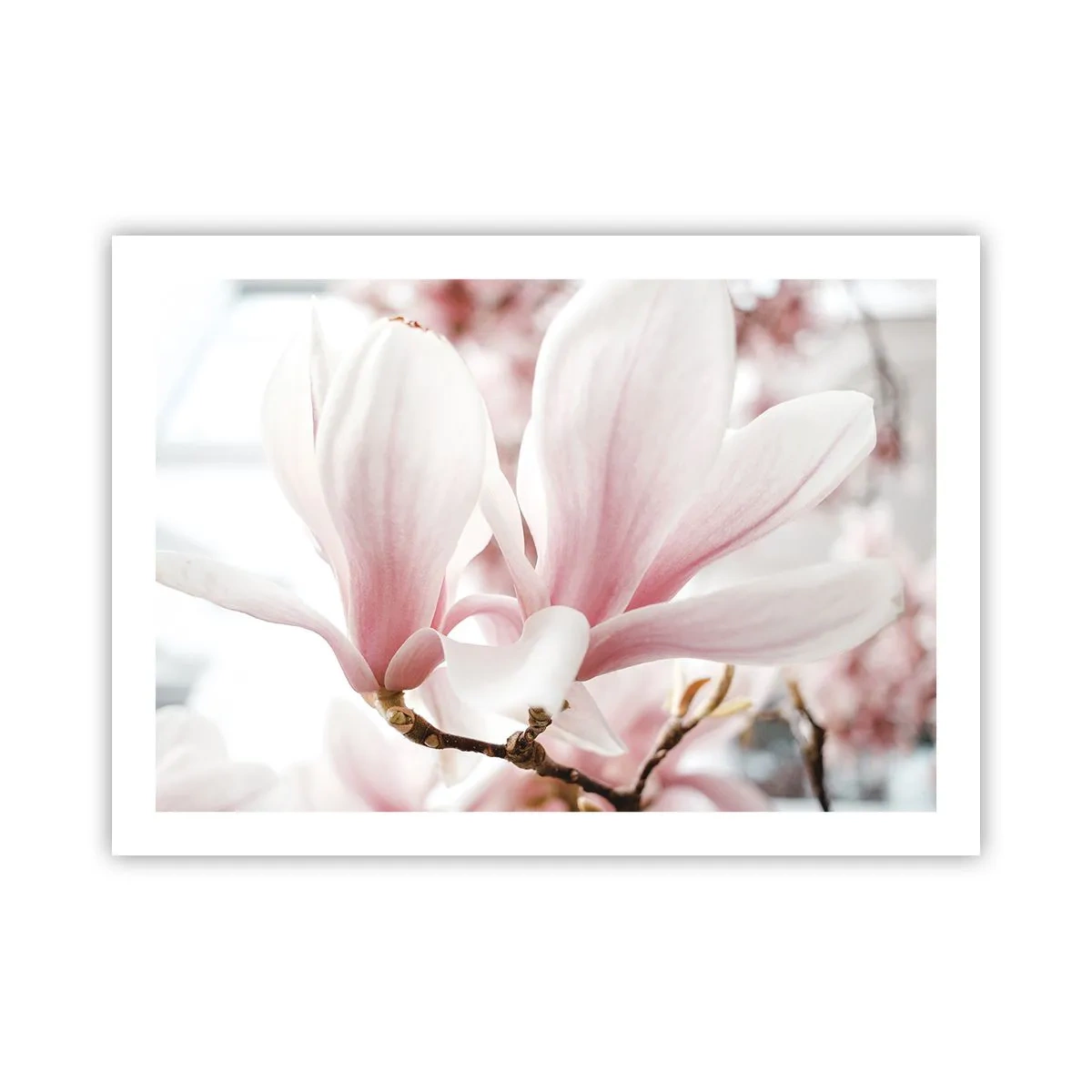 Póster - Inmensidad de la ternura - 70x50 cm