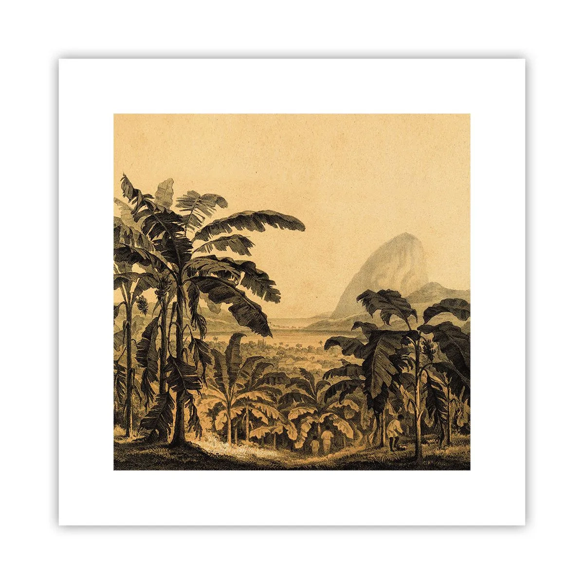 Póster - En un ambiente colonial - 30x30 cm