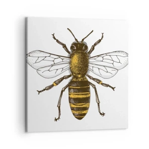 Cuadro sobre lienzo - Impresión de Imagen - Bondad natural - 50x50 cm