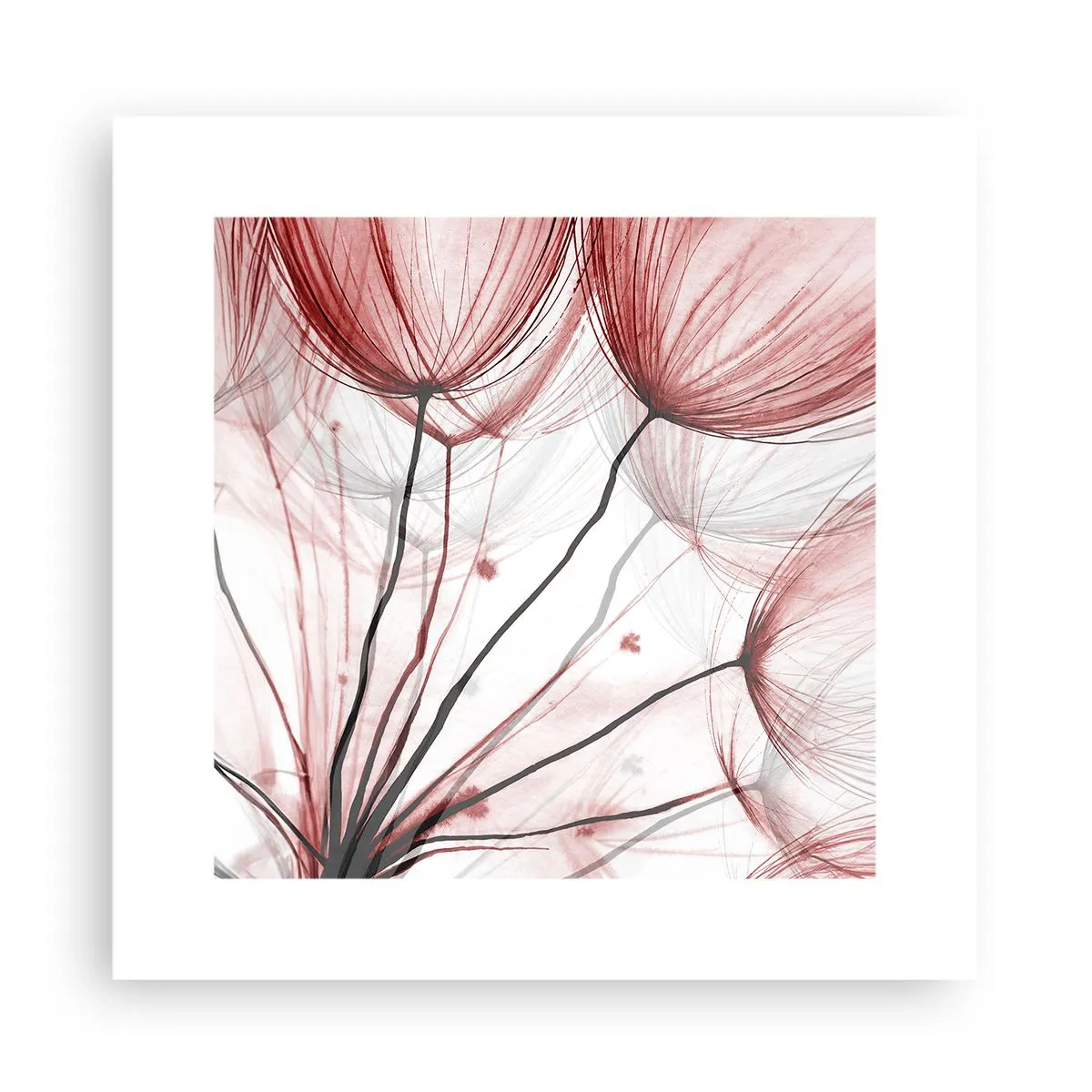 Póster - Antes de partir - 30x30 cm