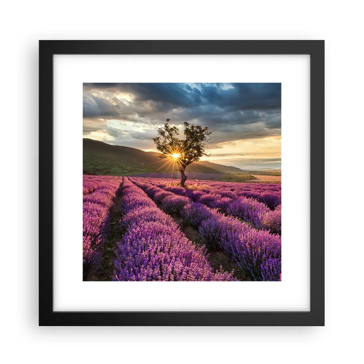 Póster en marco negro - Aroma en lila - 30x30 cm
