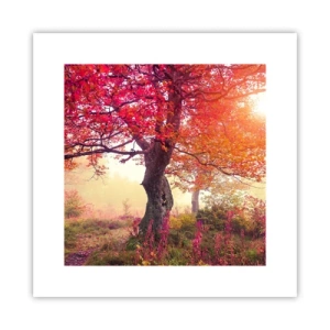 Póster - Un frenesí de floración - 30x30 cm