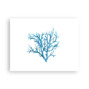 Póster - Filigrana marina - 40x30 cm
