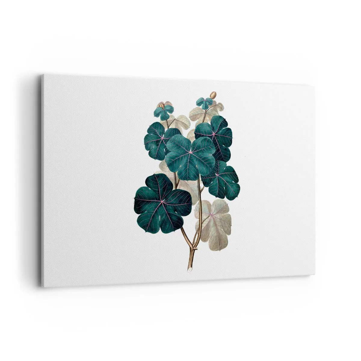 Cuadro sobre lienzo - Impresión de Imagen - Ilustración botánica con hojas en tonos verdes y beige. - 120x80cm - De un viejo herbario - Decoración de pared moderna para salón y dormitorio ARTTOR
