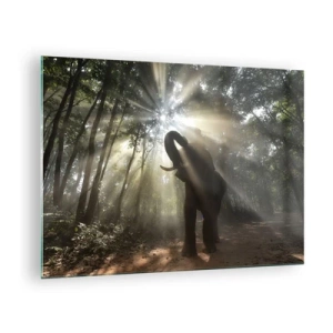 Cuadro sobre vidrio - Impresiones sobre Vidrio - Un elefante en un bosque iluminado por la luz del sol. - 70x50cm - Bajo una estrella de la suerte - Decoración de pared moderna para salón y dormitorio ARTTOR
