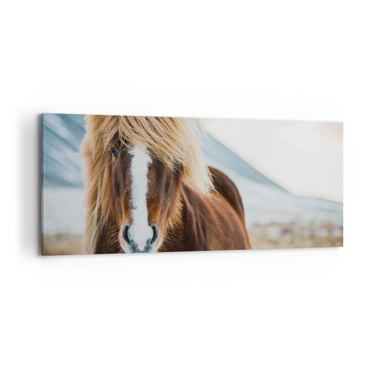 Cuadro sobre lienzo - Impresión de Imagen - Caballo islandés frente a un paisaje montañoso - 120x50cm - ¿Puedes sentir la libertad? - Decoración de pared moderna para salón y dormitorio ARTTOR
