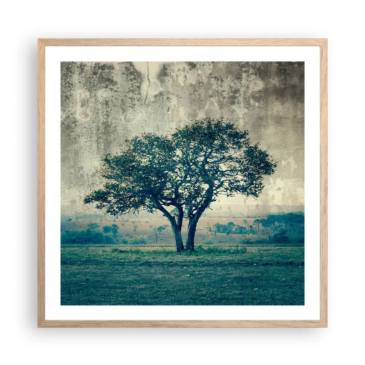 Póster en marco roble claro - El manzano - 60x60 cm