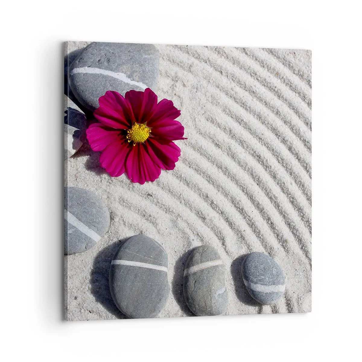 Cuadro sobre lienzo - Impresión de Imagen - Energía y paz del círculo mágico de la naturaleza - 60x60 cm