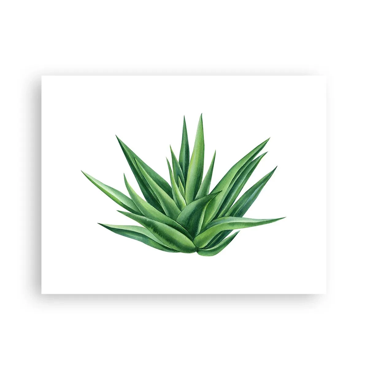 Póster - Verde - fuerza - vida - 40x30 cm