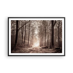 Póster en marco negro - La catedral del bosque - 91x61 cm